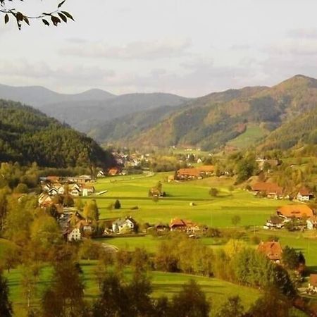Oberbauernhof - Wohnung "Am Garten" -- Moderne Fewo Im Schoenen Schwarzwaldhaus Gutach Exterior foto