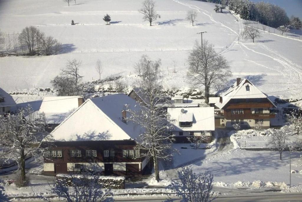 Oberbauernhof - Wohnung "Am Garten" -- Moderne Fewo Im Schoenen Schwarzwaldhaus Gutach Exterior foto